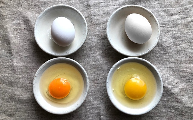 Lòng đỏ trứng có màu đậm và nhạt, vậy loại nào bổ dưỡng hơn?