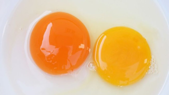 Lòng đỏ trứng có màu đậm và nhạt, vậy loại nào bổ dưỡng hơn?