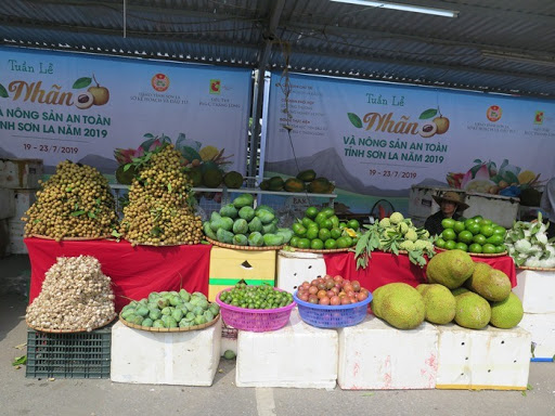 Nông sản Sơn La trên hành trình chinh phục thị trường xuất khẩu khó tính