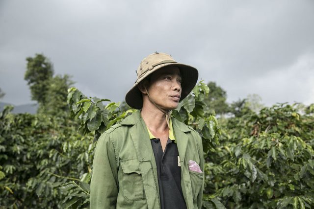 Người nông dân Việt Nam trồng cà phê